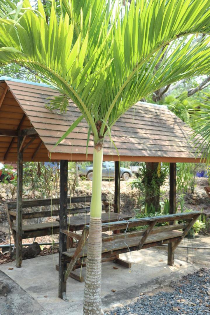 Baanrimklong Bungalow Koh Chang Quarto foto